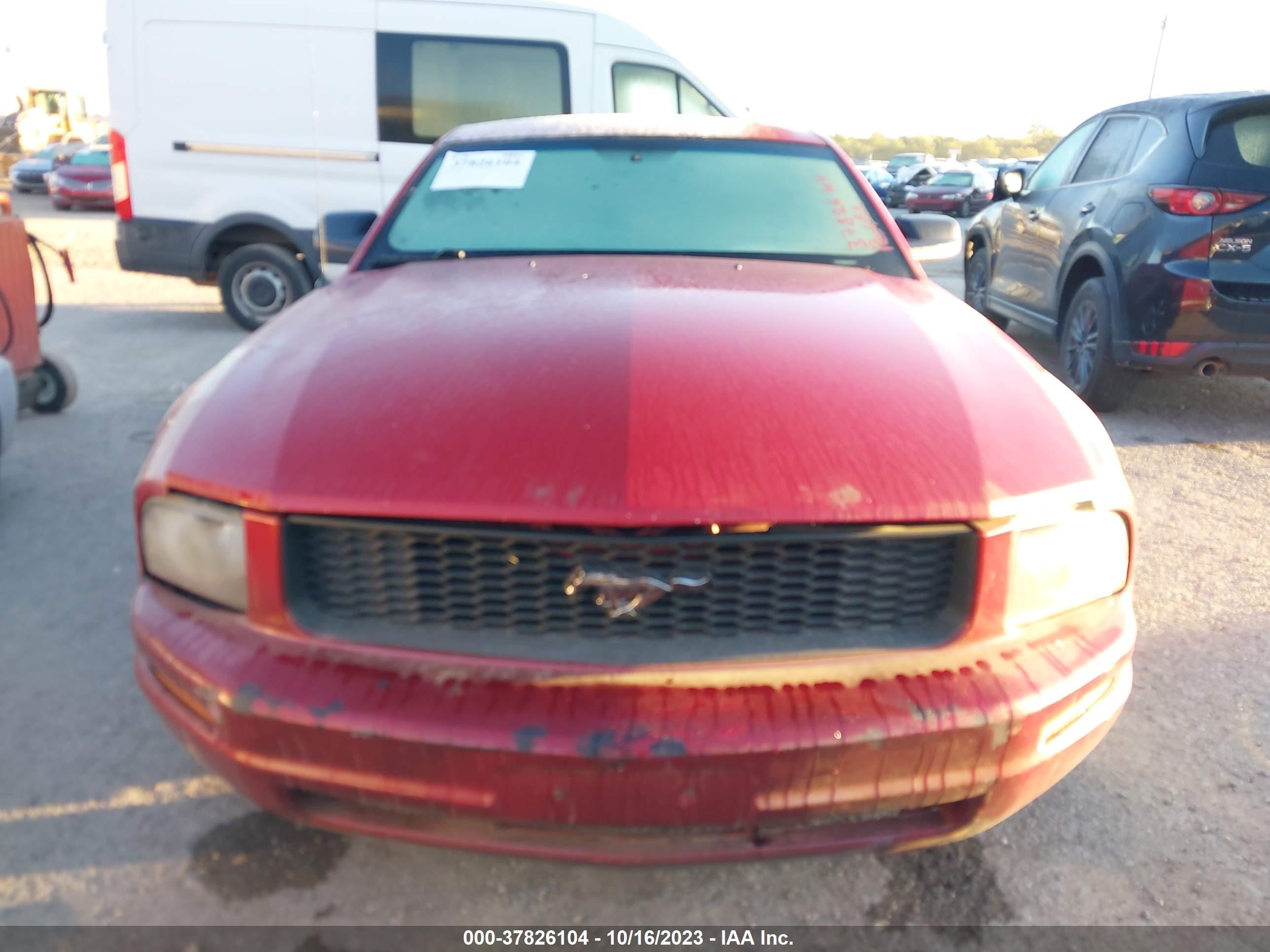 Photo 5 VIN: 1ZVHT80N895115608 - FORD MUSTANG 