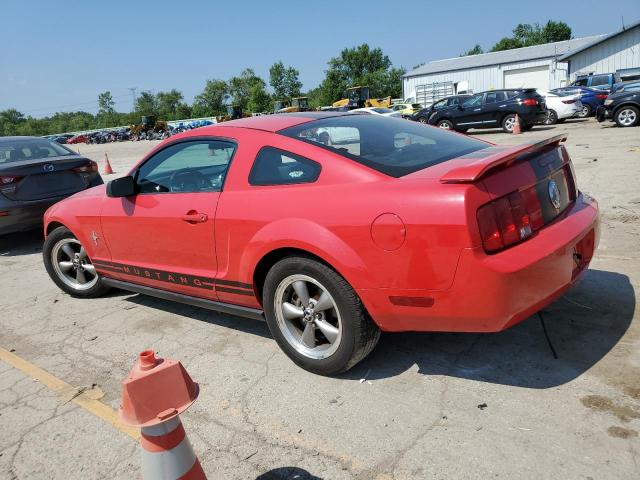 Photo 1 VIN: 1ZVHT80N965142666 - FORD MUSTANG 