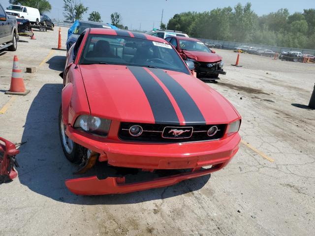 Photo 4 VIN: 1ZVHT80N965142666 - FORD MUSTANG 