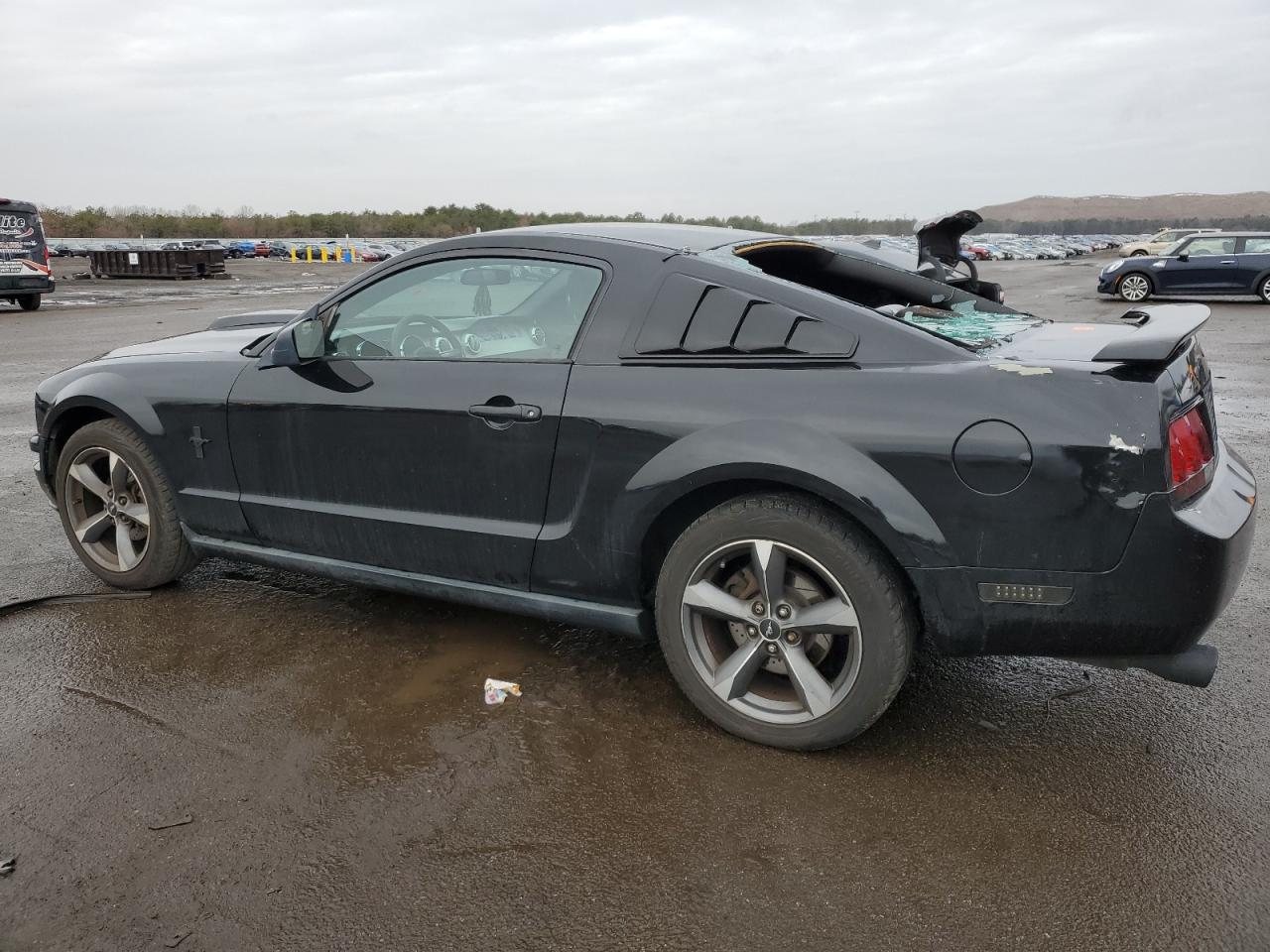 Photo 1 VIN: 1ZVHT80N965236434 - FORD MUSTANG 