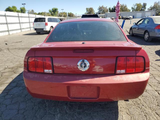 Photo 5 VIN: 1ZVHT80N985102994 - FORD ALL MODELS 