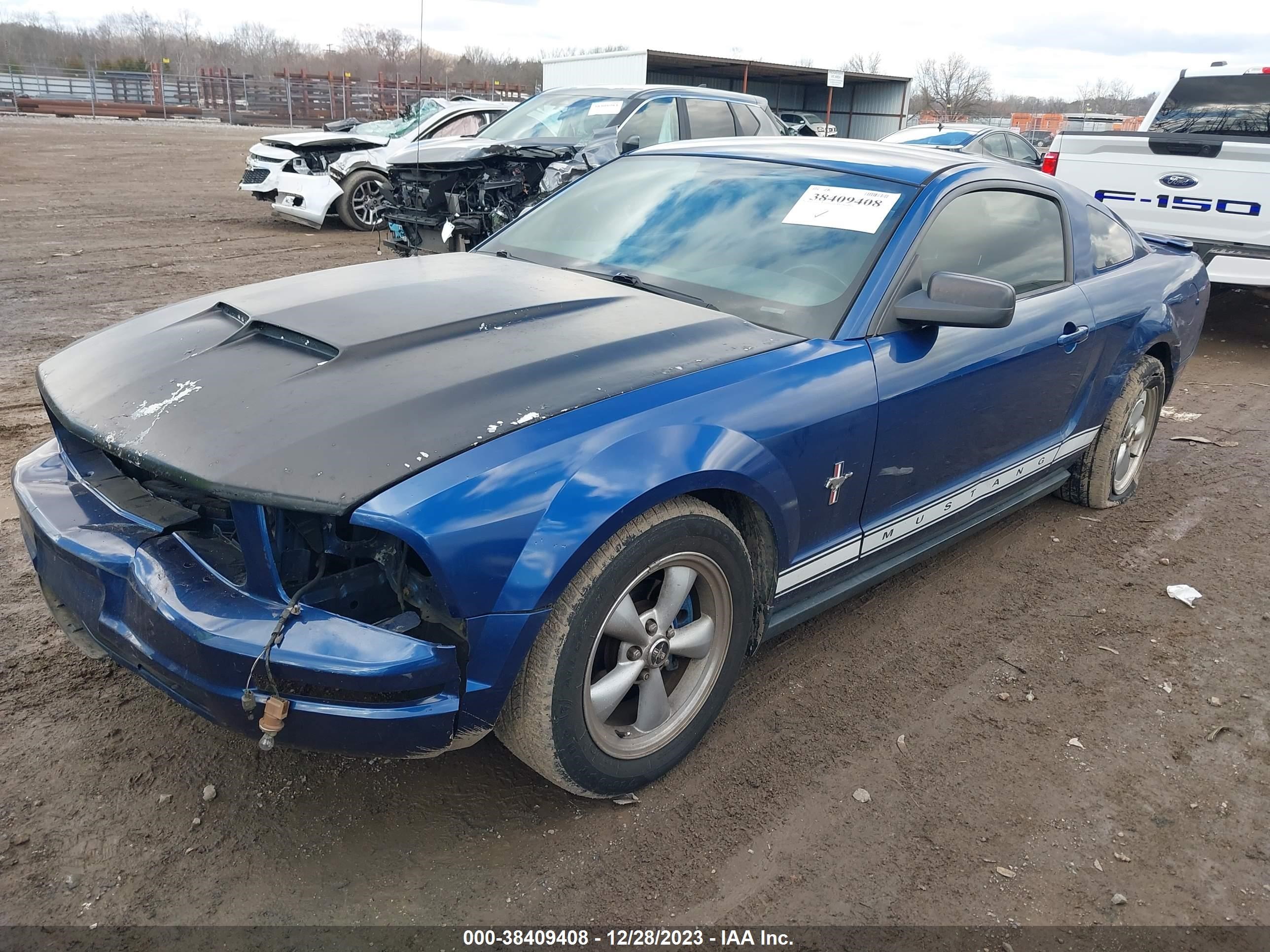 Photo 1 VIN: 1ZVHT80N985140225 - FORD MUSTANG 