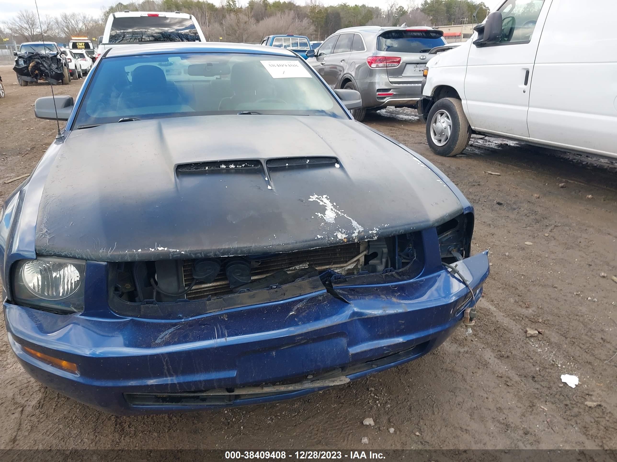 Photo 11 VIN: 1ZVHT80N985140225 - FORD MUSTANG 