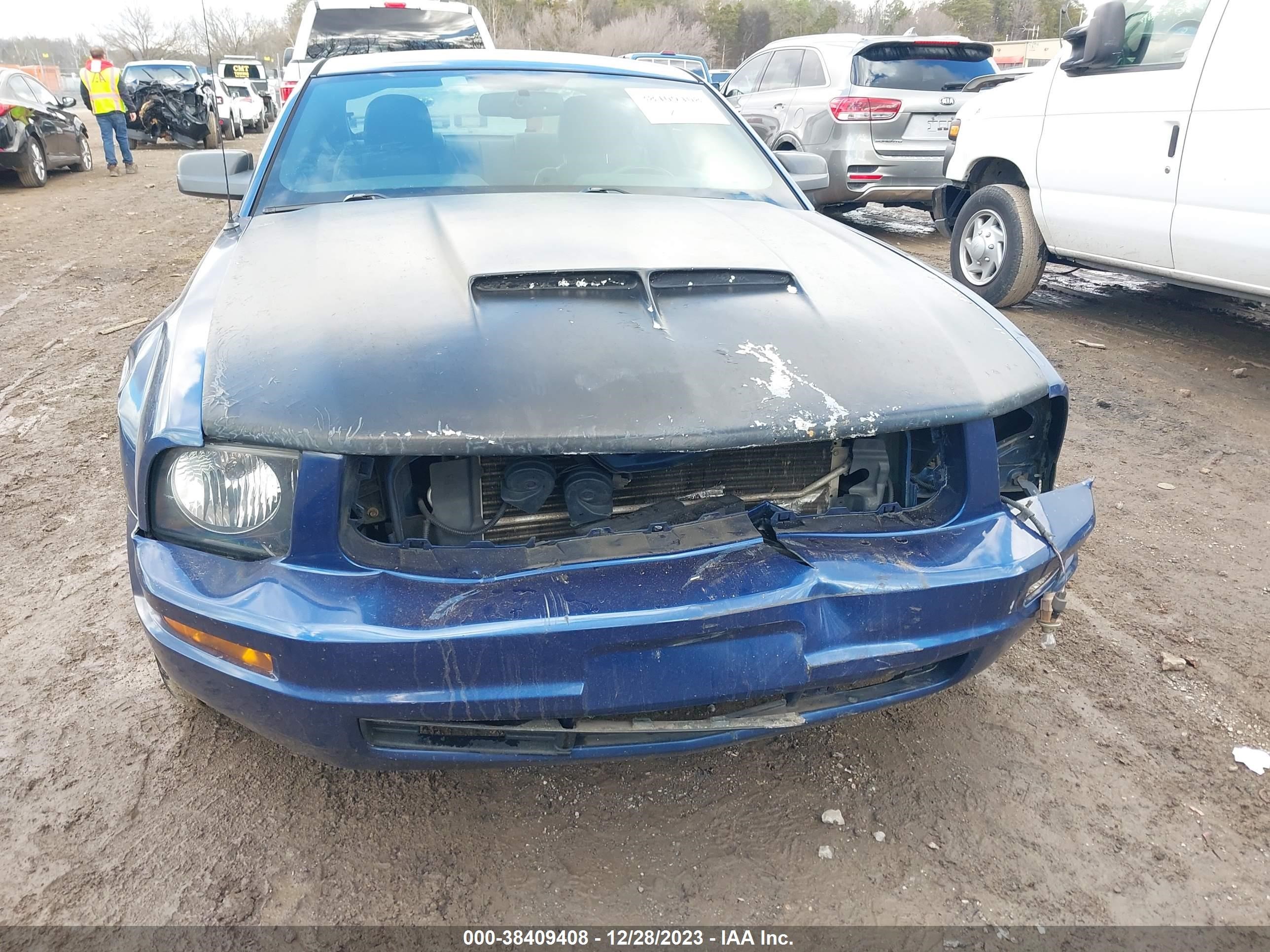 Photo 5 VIN: 1ZVHT80N985140225 - FORD MUSTANG 