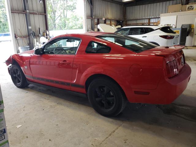 Photo 1 VIN: 1ZVHT80N995130618 - FORD MUSTANG 