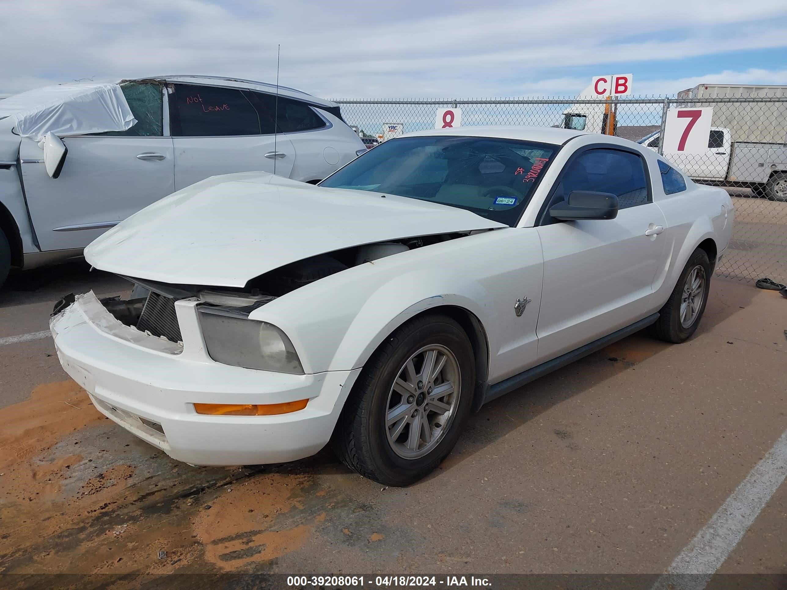 Photo 1 VIN: 1ZVHT80N995134152 - FORD MUSTANG 