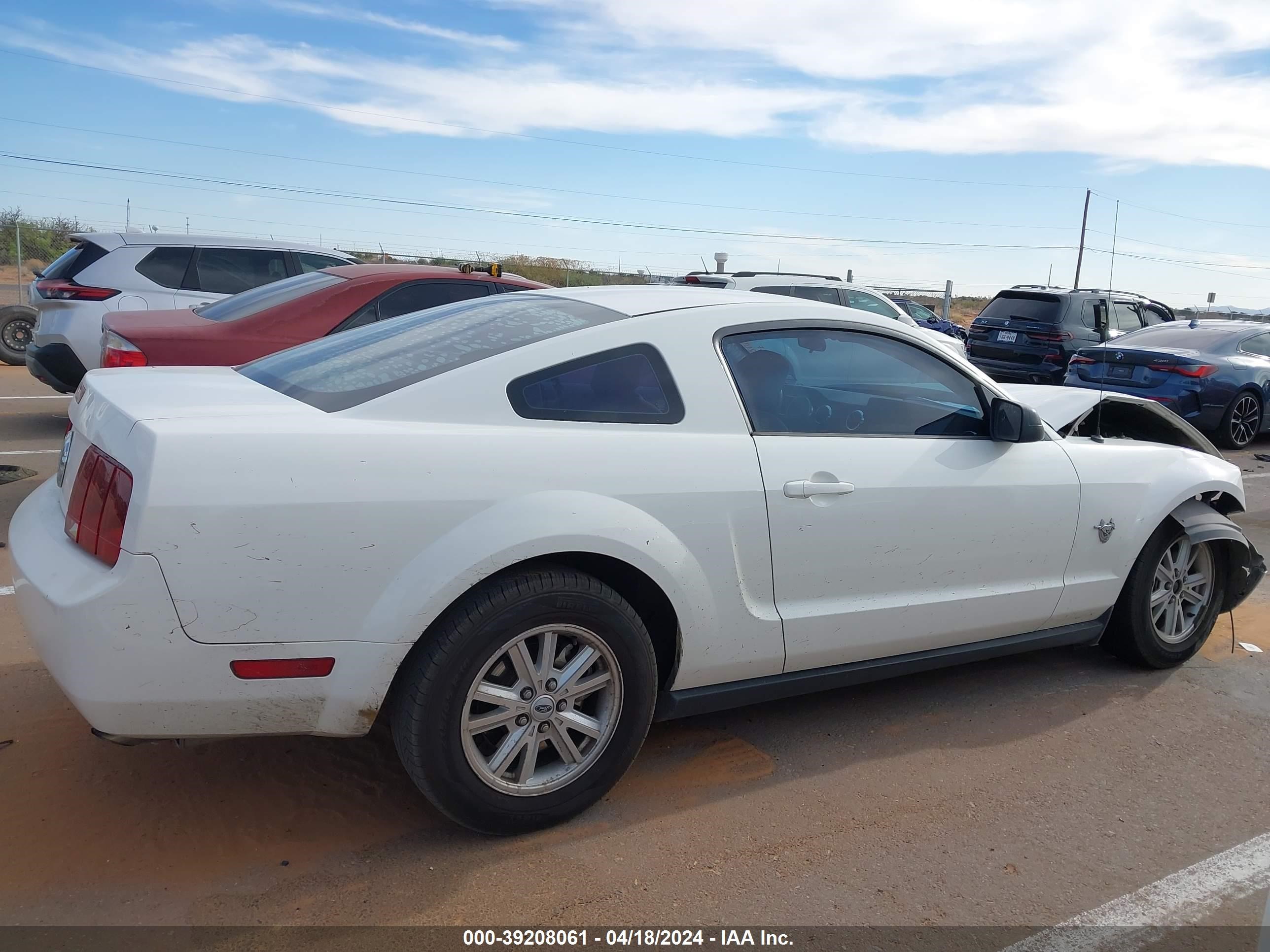 Photo 12 VIN: 1ZVHT80N995134152 - FORD MUSTANG 