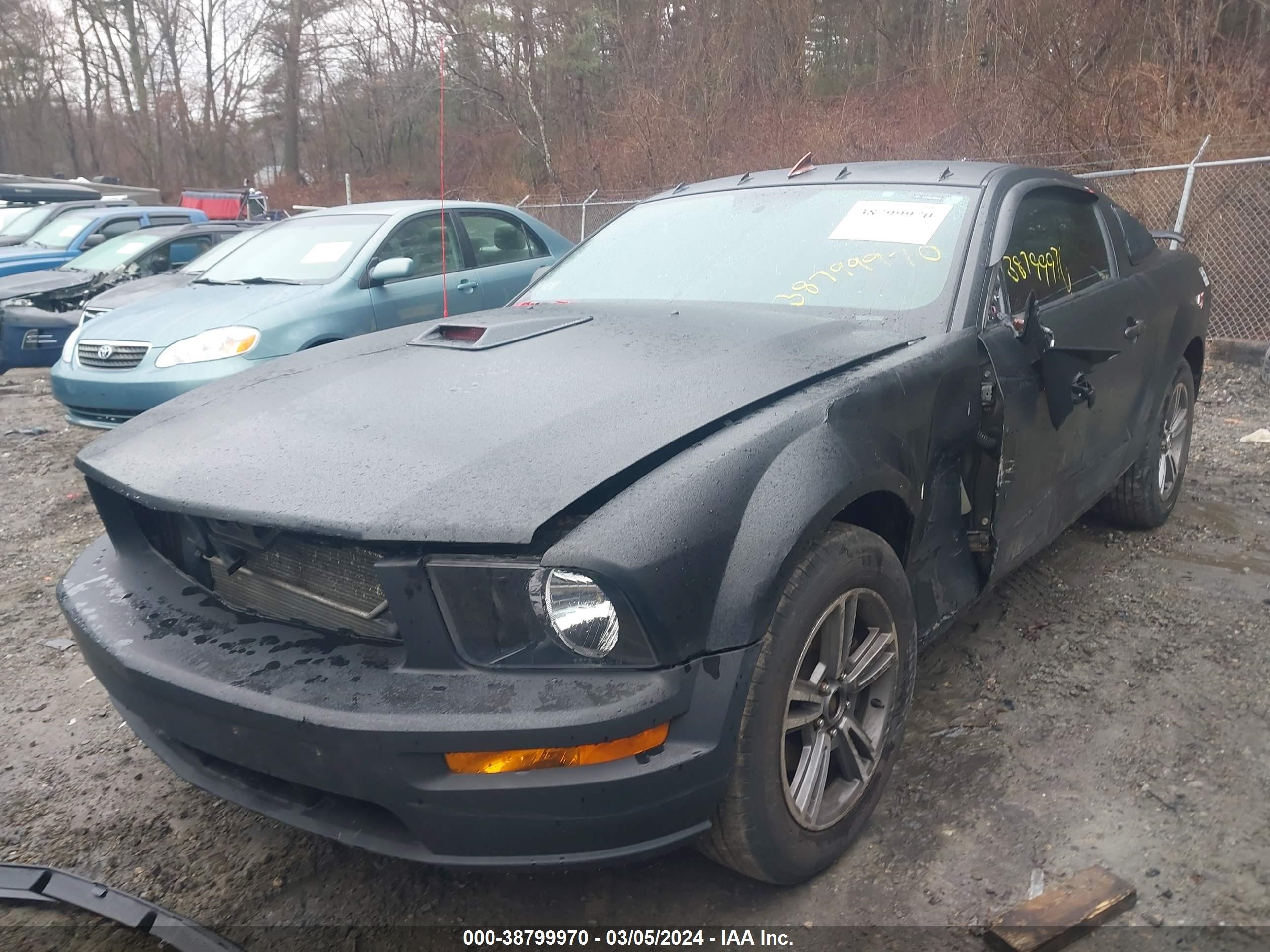 Photo 1 VIN: 1ZVHT80NX85117889 - FORD MUSTANG 