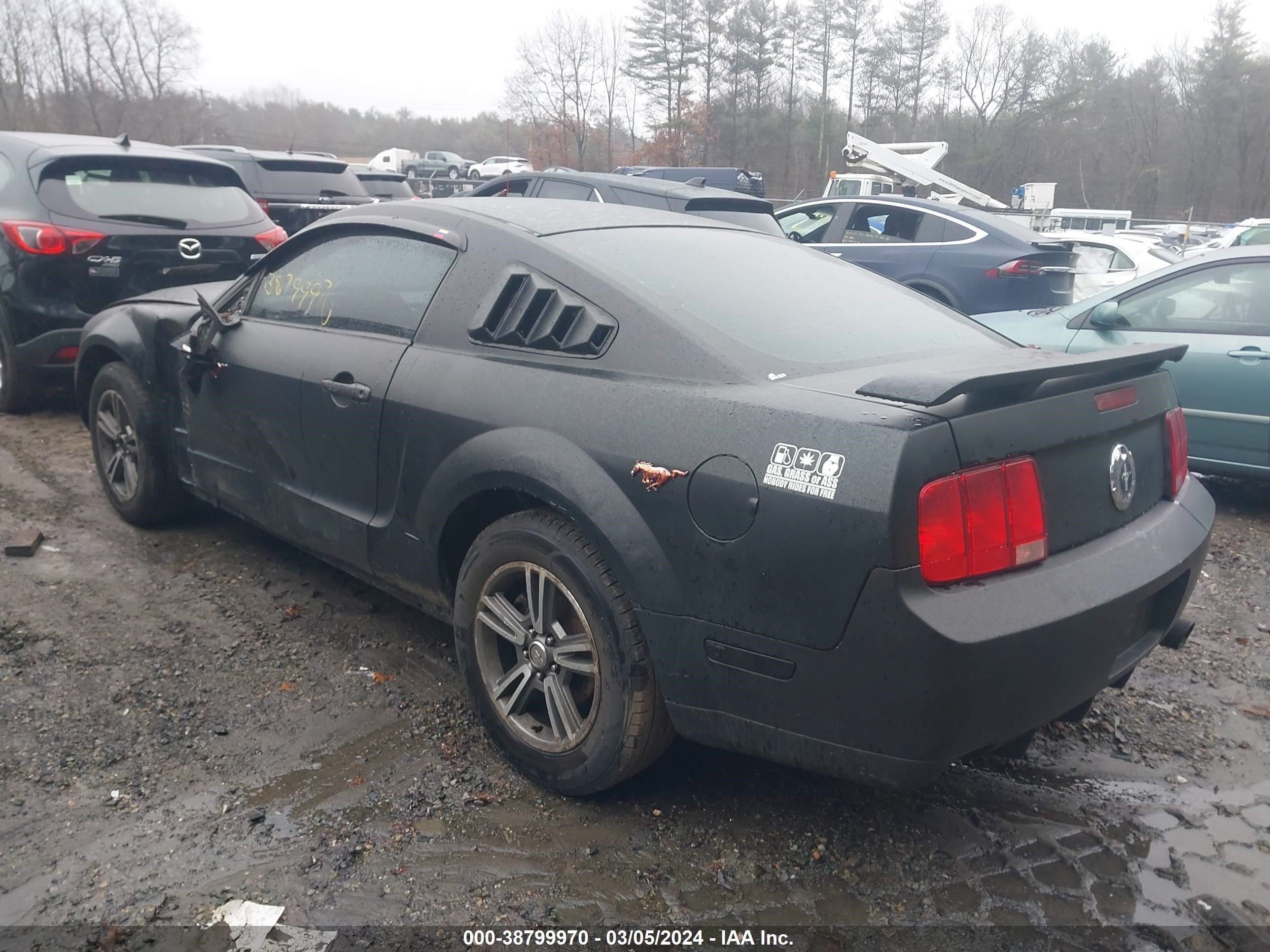 Photo 2 VIN: 1ZVHT80NX85117889 - FORD MUSTANG 