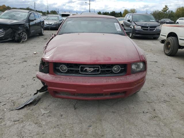 Photo 4 VIN: 1ZVHT80NX85156627 - FORD MUSTANG 