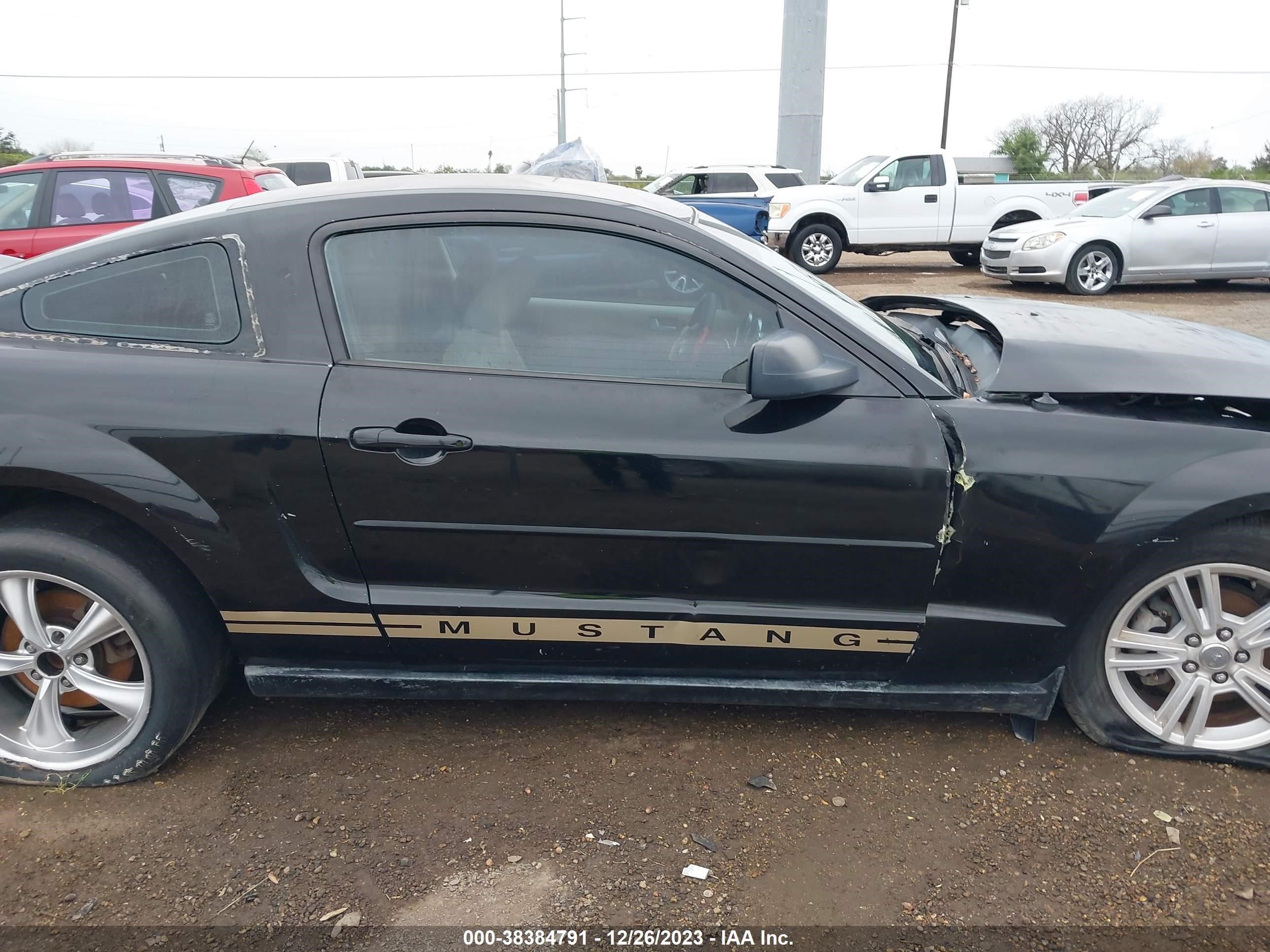 Photo 12 VIN: 1ZVHT80NX85191099 - FORD MUSTANG 