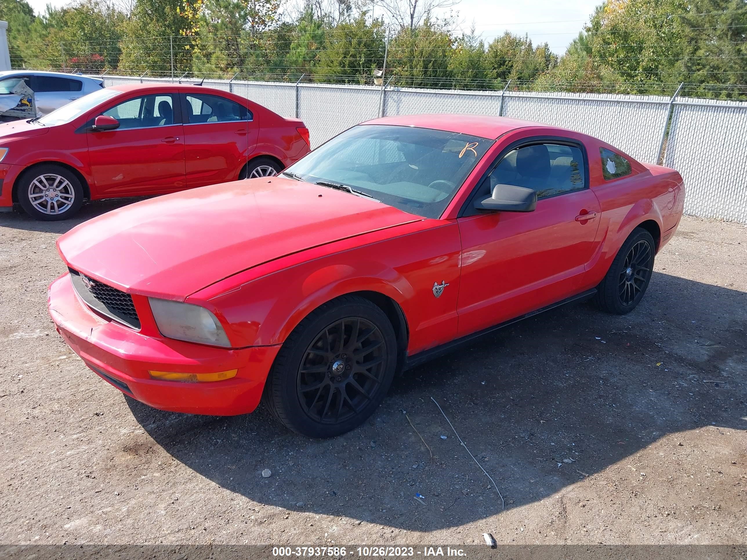 Photo 1 VIN: 1ZVHT80NX95135469 - FORD MUSTANG 