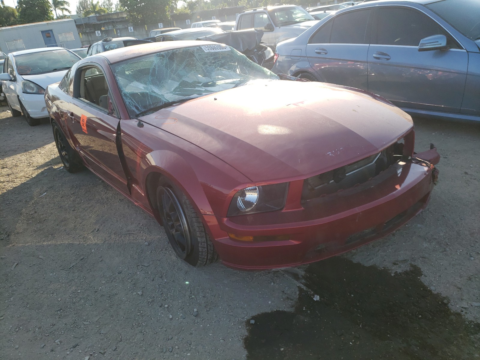 Photo 0 VIN: 1ZVHT82H065123480 - FORD MUSTANG GT 