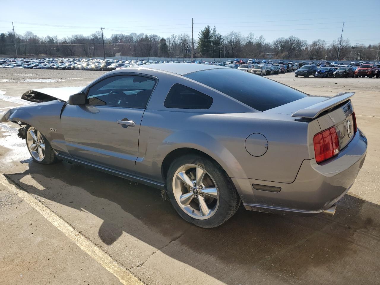 Photo 1 VIN: 1ZVHT82H065173487 - FORD MUSTANG 