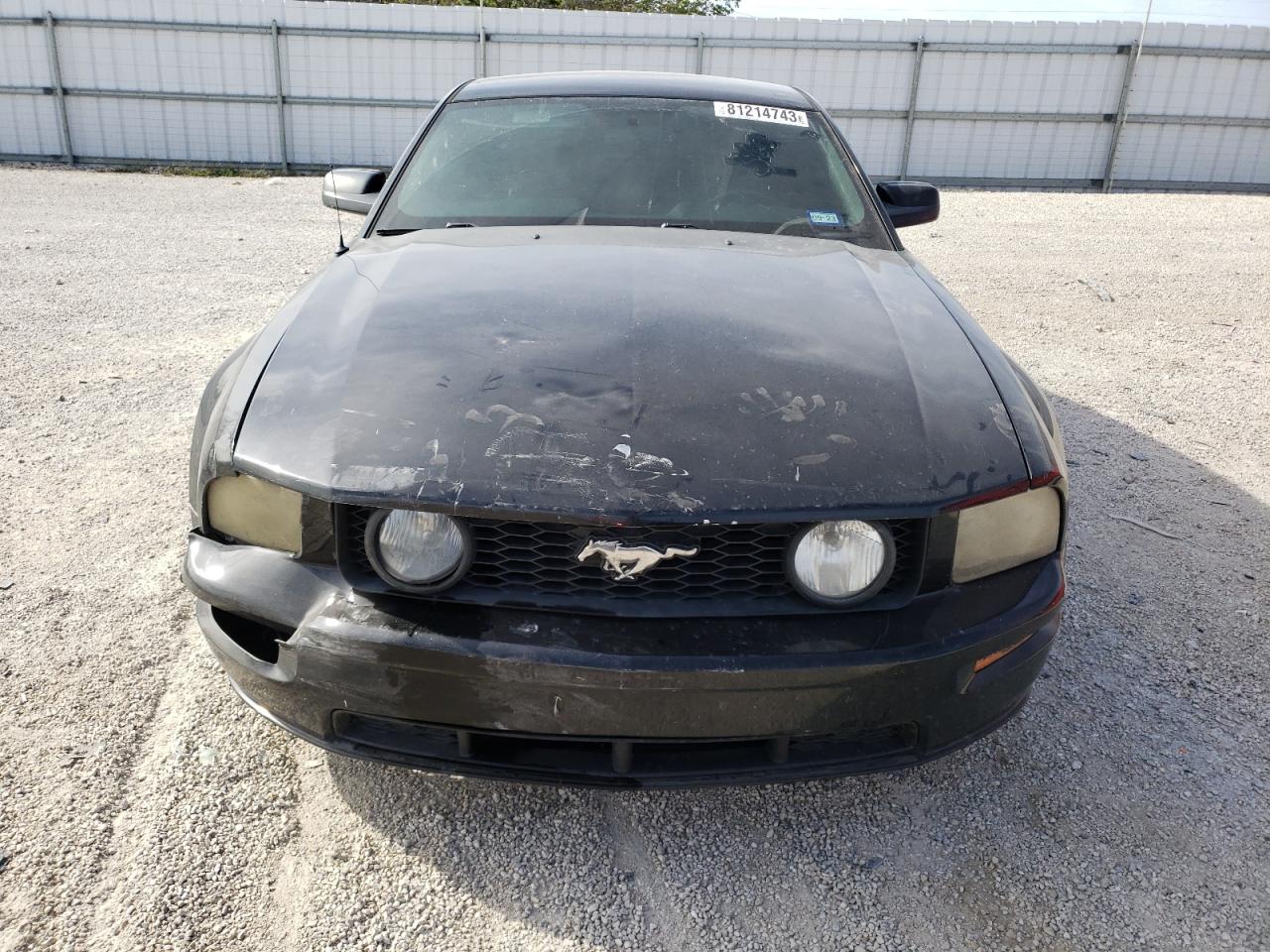 Photo 4 VIN: 1ZVHT82H165253106 - FORD MUSTANG 