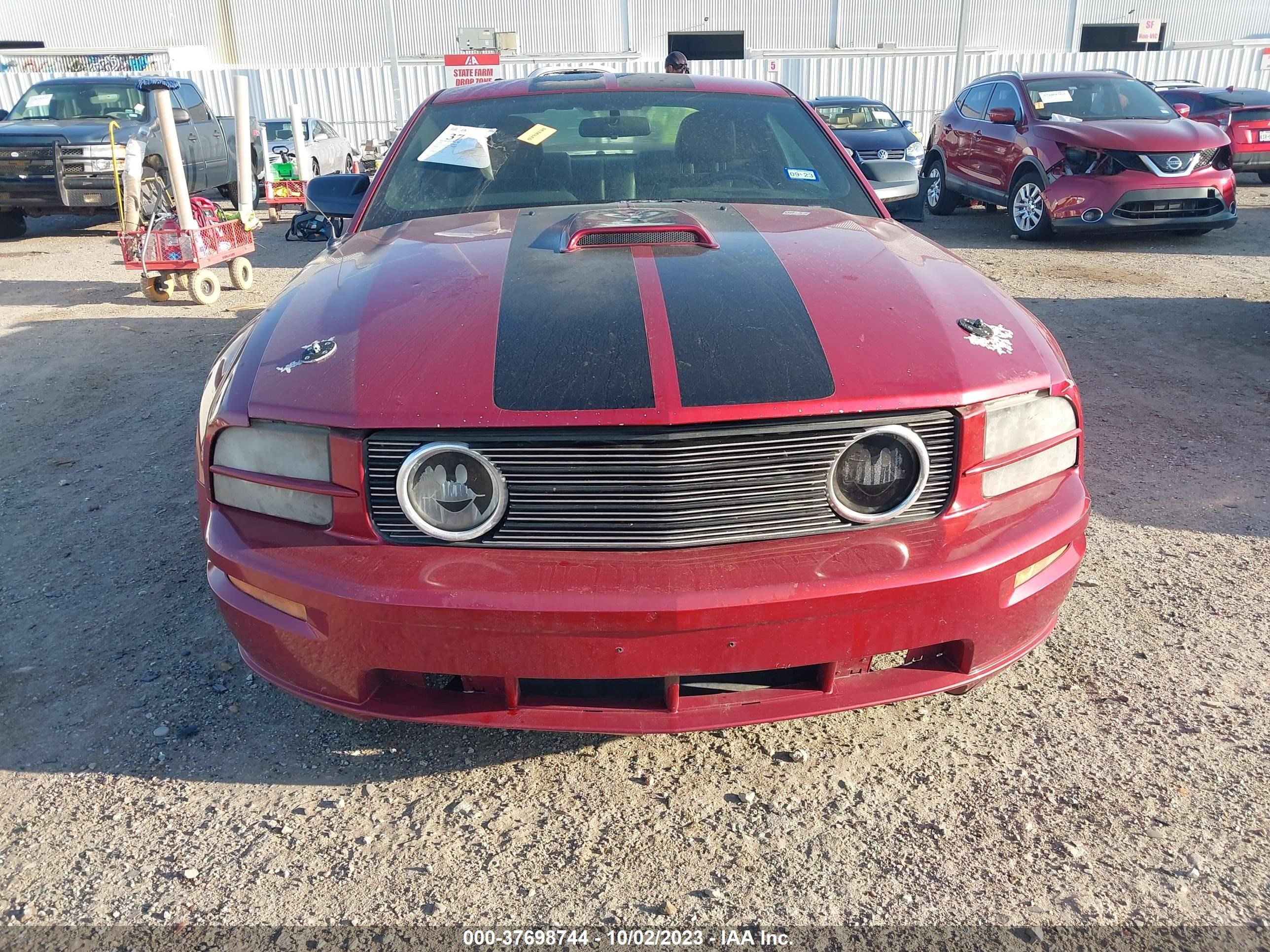 Photo 12 VIN: 1ZVHT82H175260297 - FORD MUSTANG 