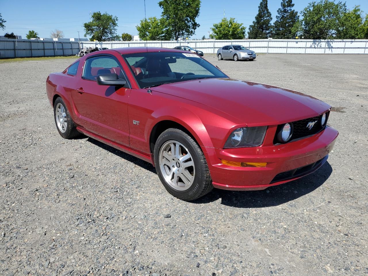 Photo 3 VIN: 1ZVHT82H265120452 - FORD MUSTANG 