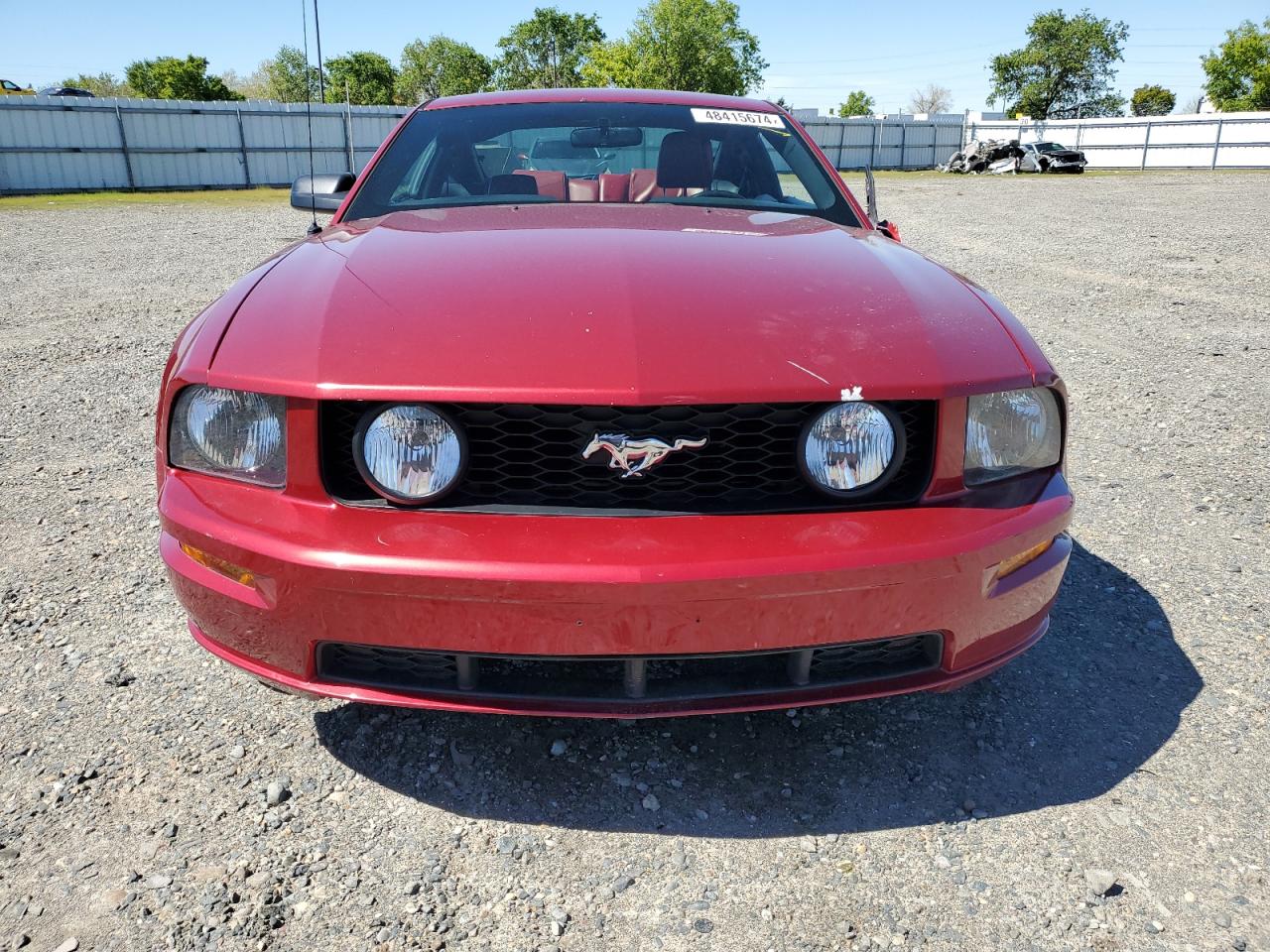 Photo 4 VIN: 1ZVHT82H265120452 - FORD MUSTANG 