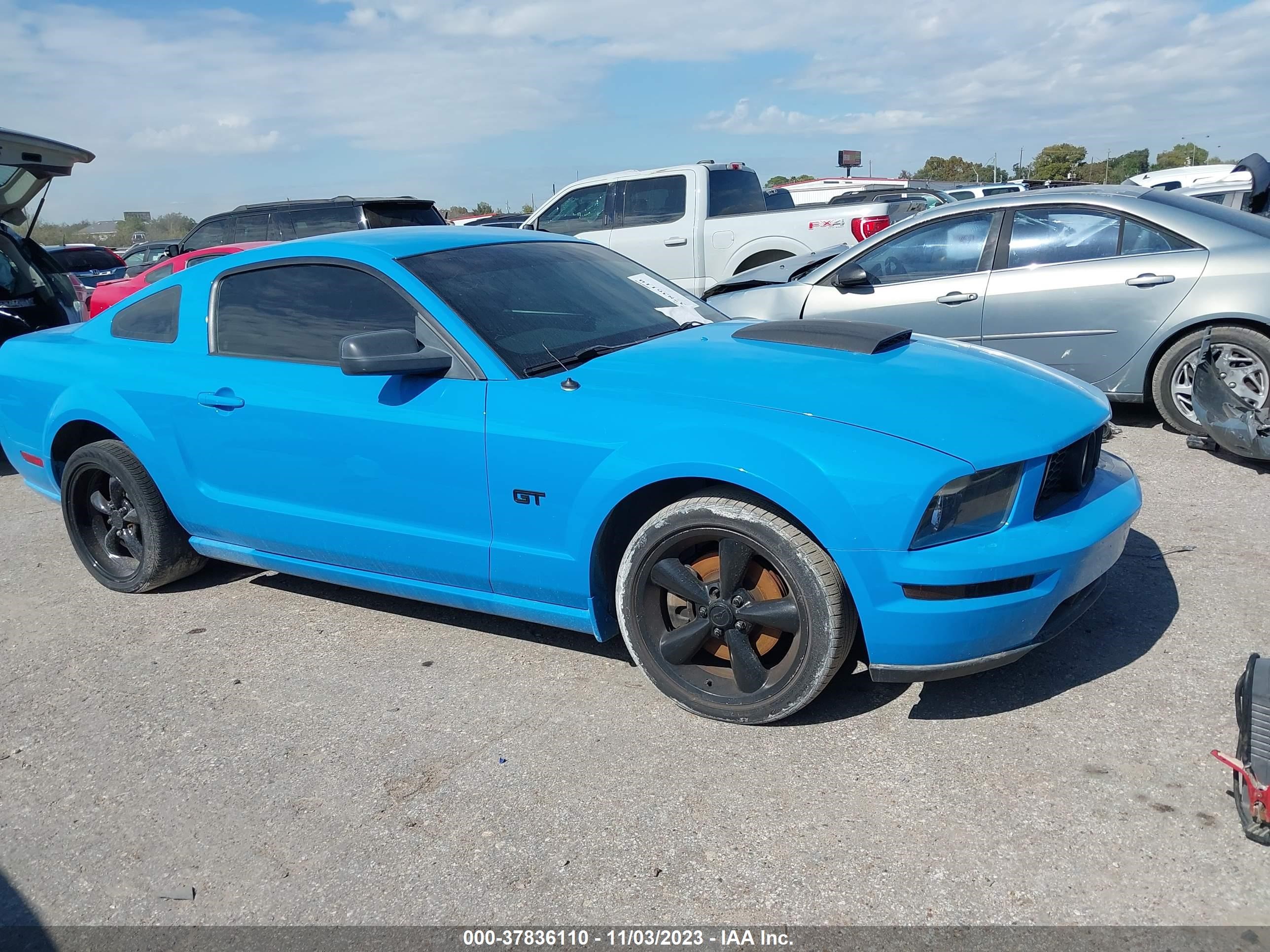 Photo 0 VIN: 1ZVHT82H265232846 - FORD MUSTANG 