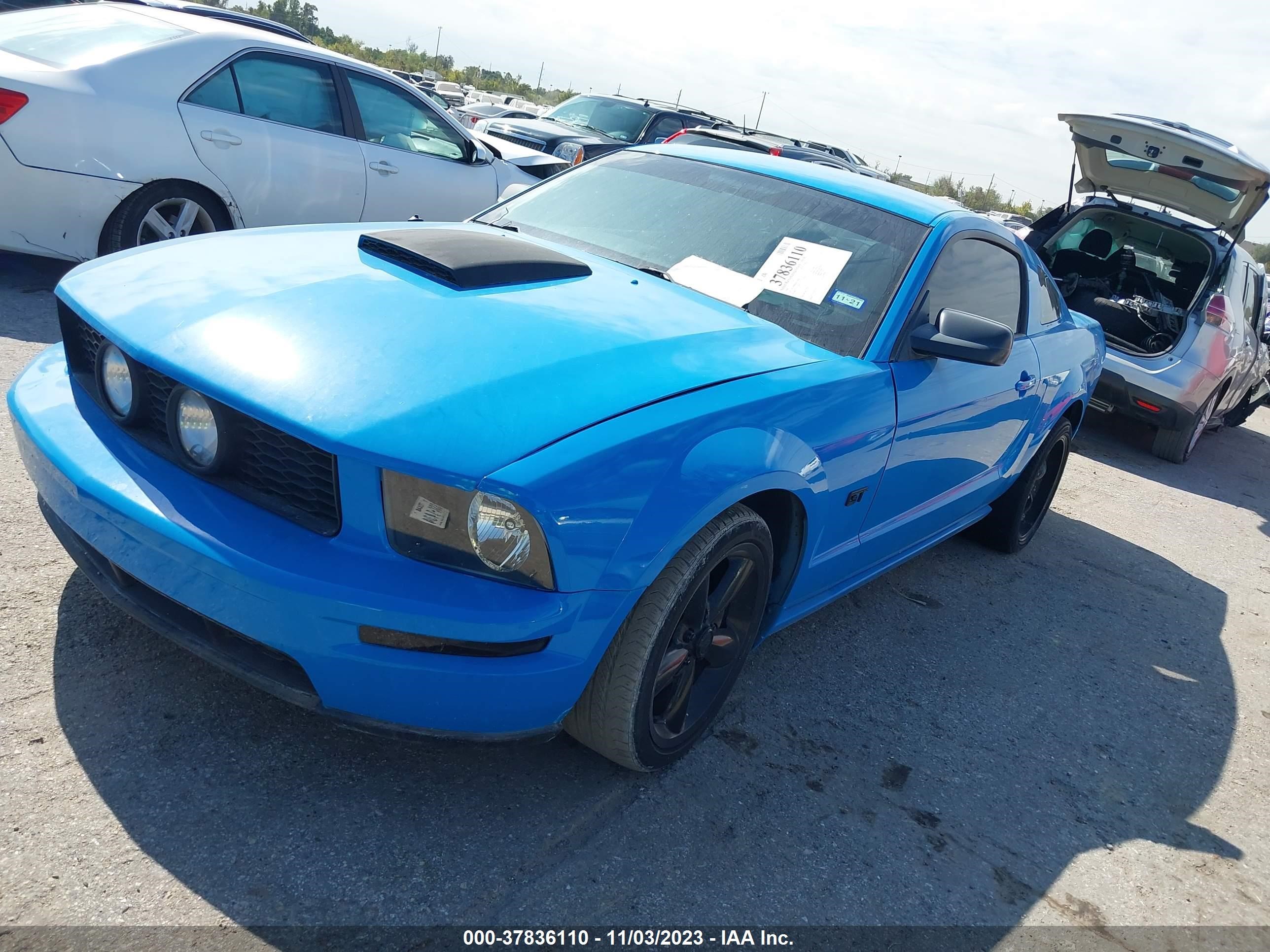 Photo 1 VIN: 1ZVHT82H265232846 - FORD MUSTANG 