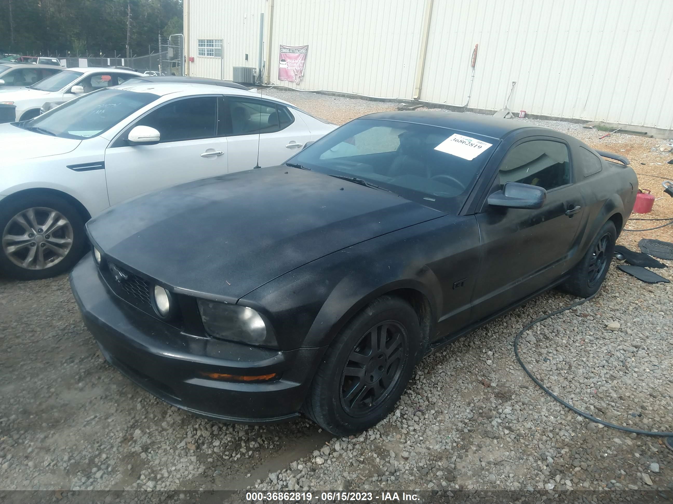 Photo 1 VIN: 1ZVHT82H265237111 - FORD MUSTANG 