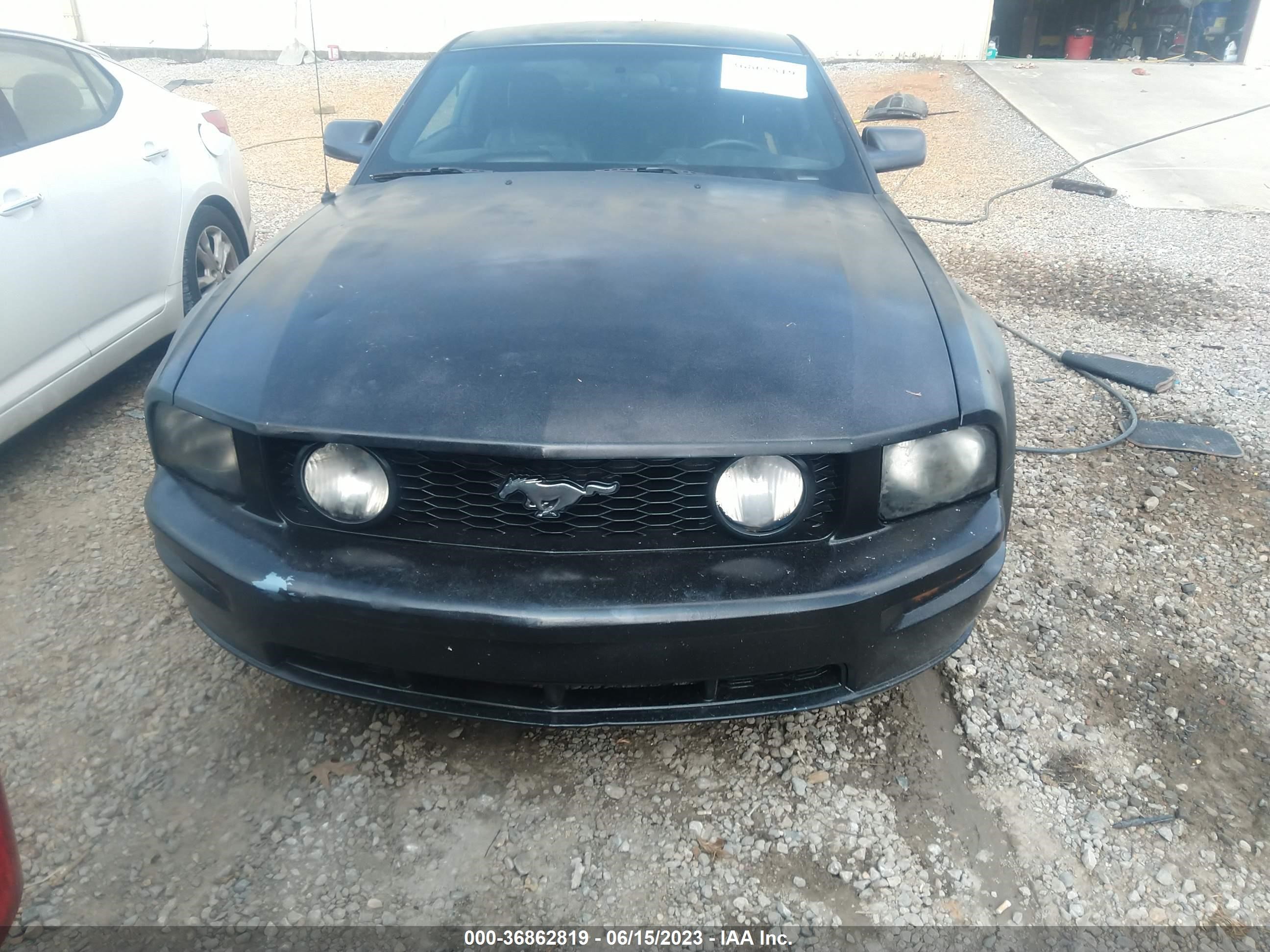 Photo 5 VIN: 1ZVHT82H265237111 - FORD MUSTANG 