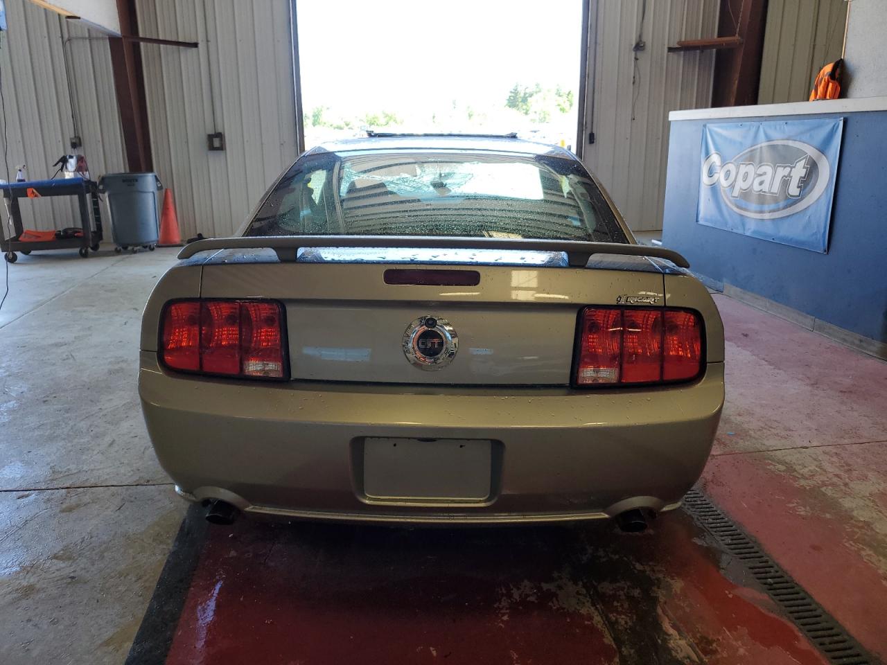 Photo 5 VIN: 1ZVHT82H285162994 - FORD MUSTANG 