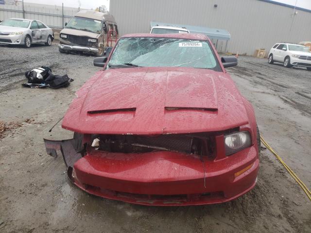 Photo 4 VIN: 1ZVHT82H285206265 - FORD MUSTANG GT 