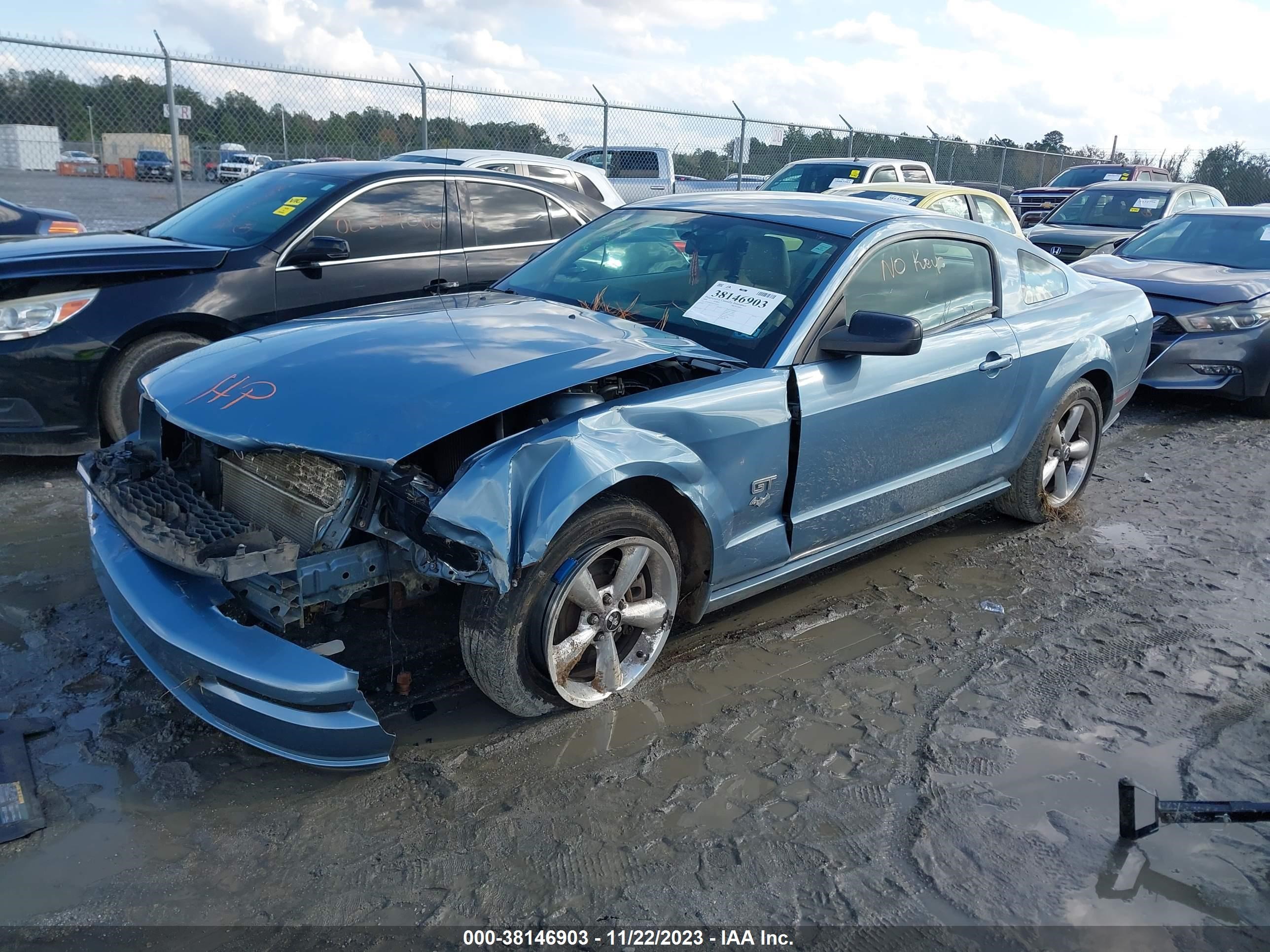 Photo 1 VIN: 1ZVHT82H385135724 - FORD MUSTANG 