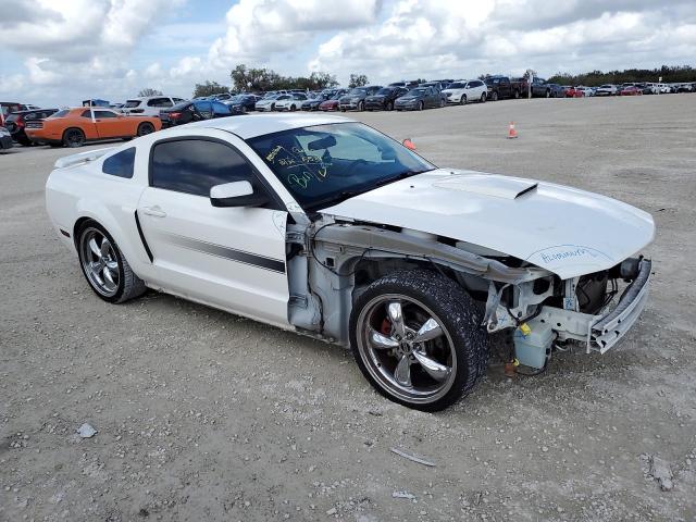 Photo 3 VIN: 1ZVHT82H385160588 - FORD MUSTANG GT 