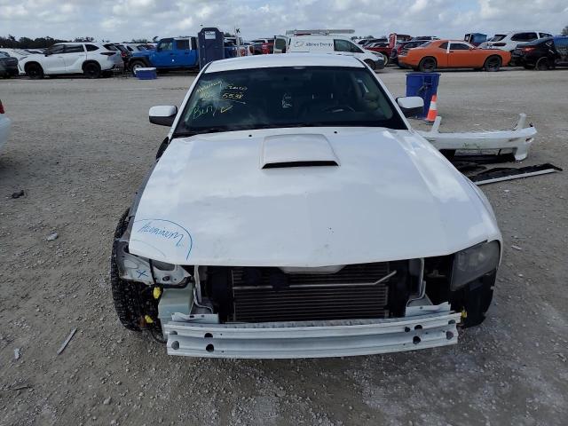 Photo 4 VIN: 1ZVHT82H385160588 - FORD MUSTANG GT 