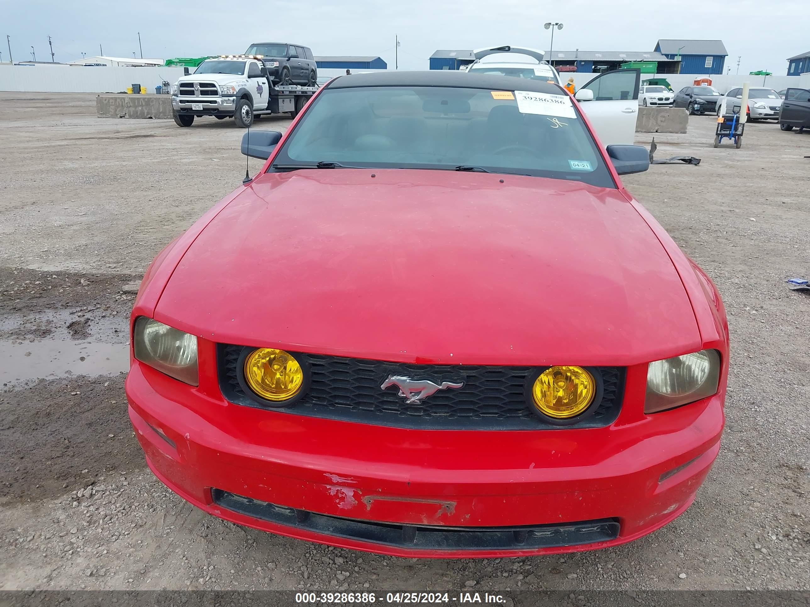 Photo 5 VIN: 1ZVHT82H455224116 - FORD MUSTANG 