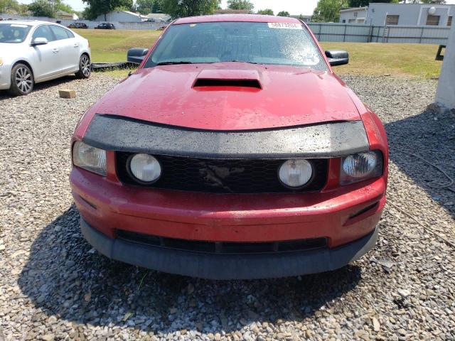 Photo 4 VIN: 1ZVHT82H465193466 - FORD MUSTANG 