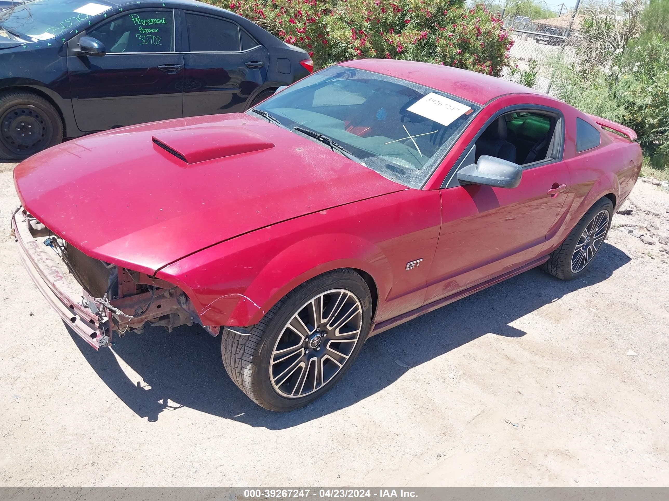 Photo 1 VIN: 1ZVHT82H485128989 - FORD MUSTANG 