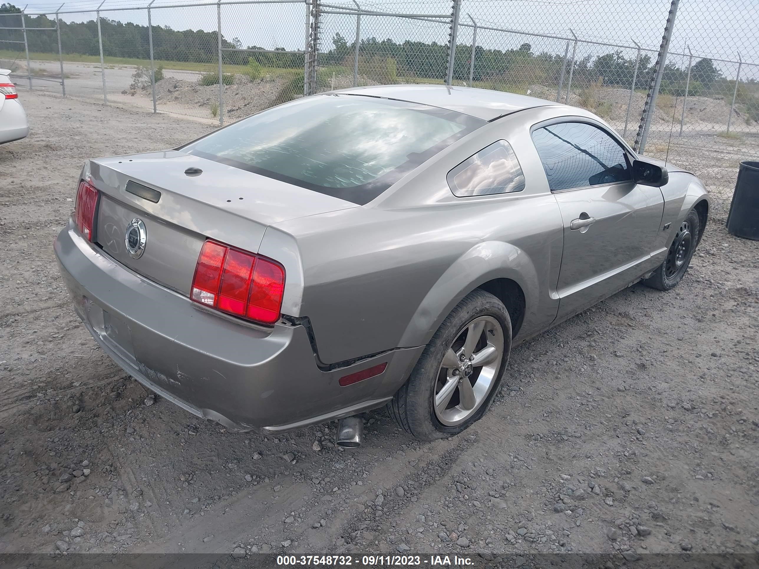 Photo 3 VIN: 1ZVHT82H485146831 - FORD MUSTANG 