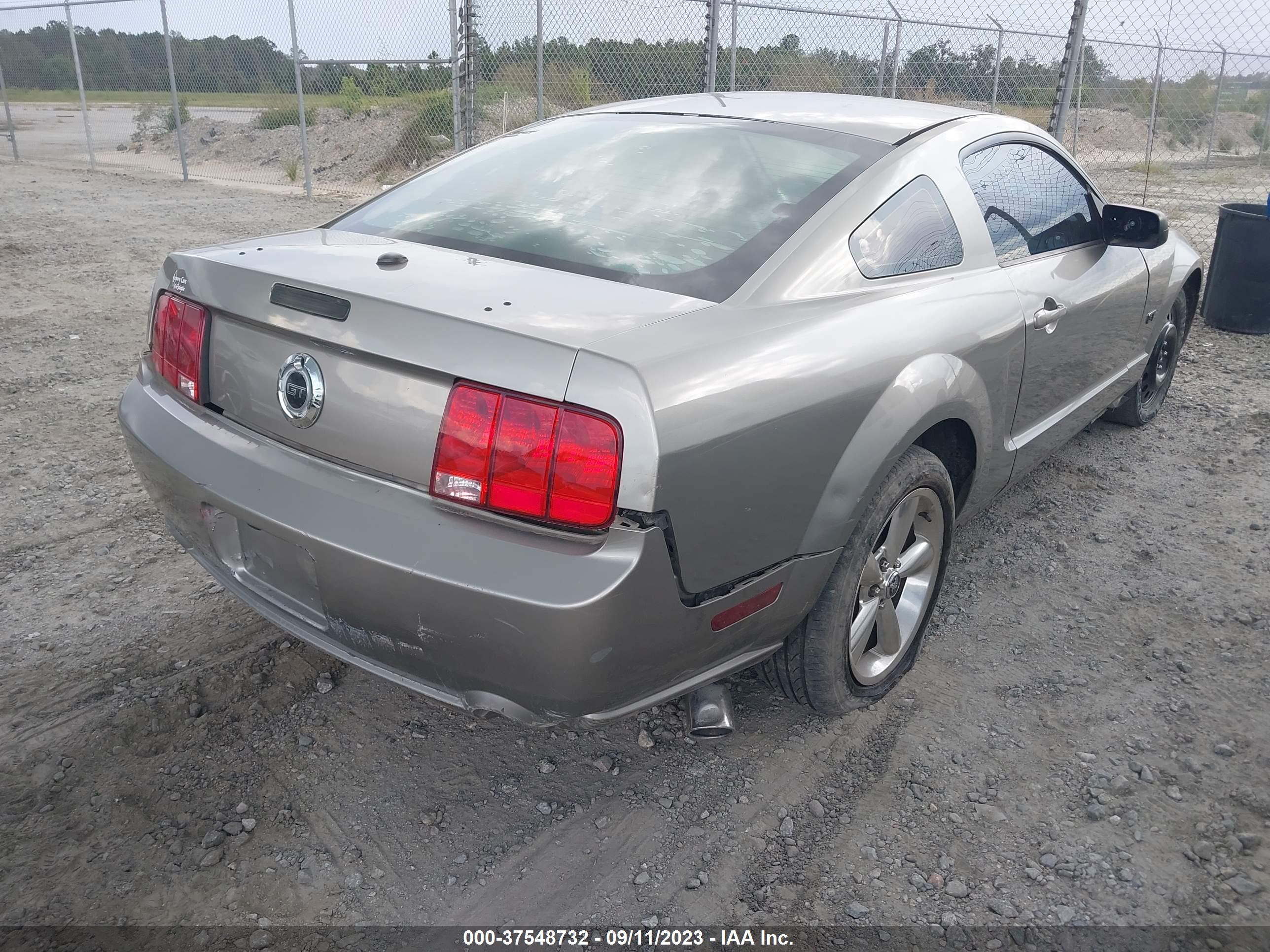 Photo 5 VIN: 1ZVHT82H485146831 - FORD MUSTANG 