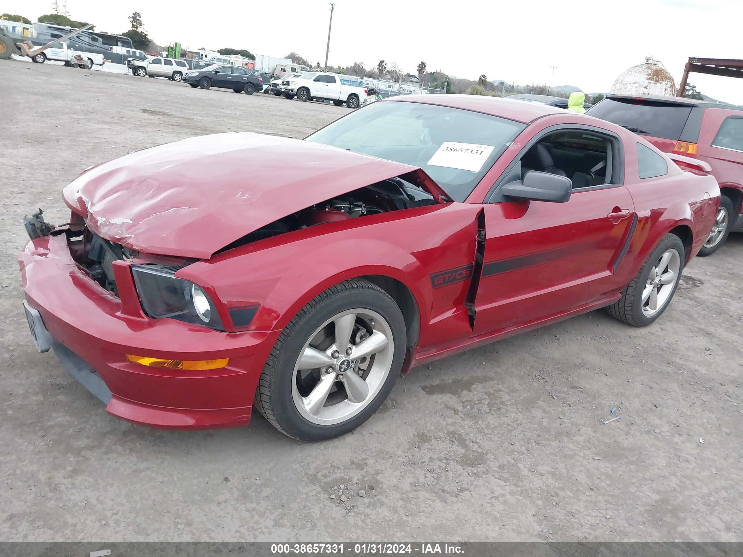 Photo 1 VIN: 1ZVHT82H485151544 - FORD MUSTANG 