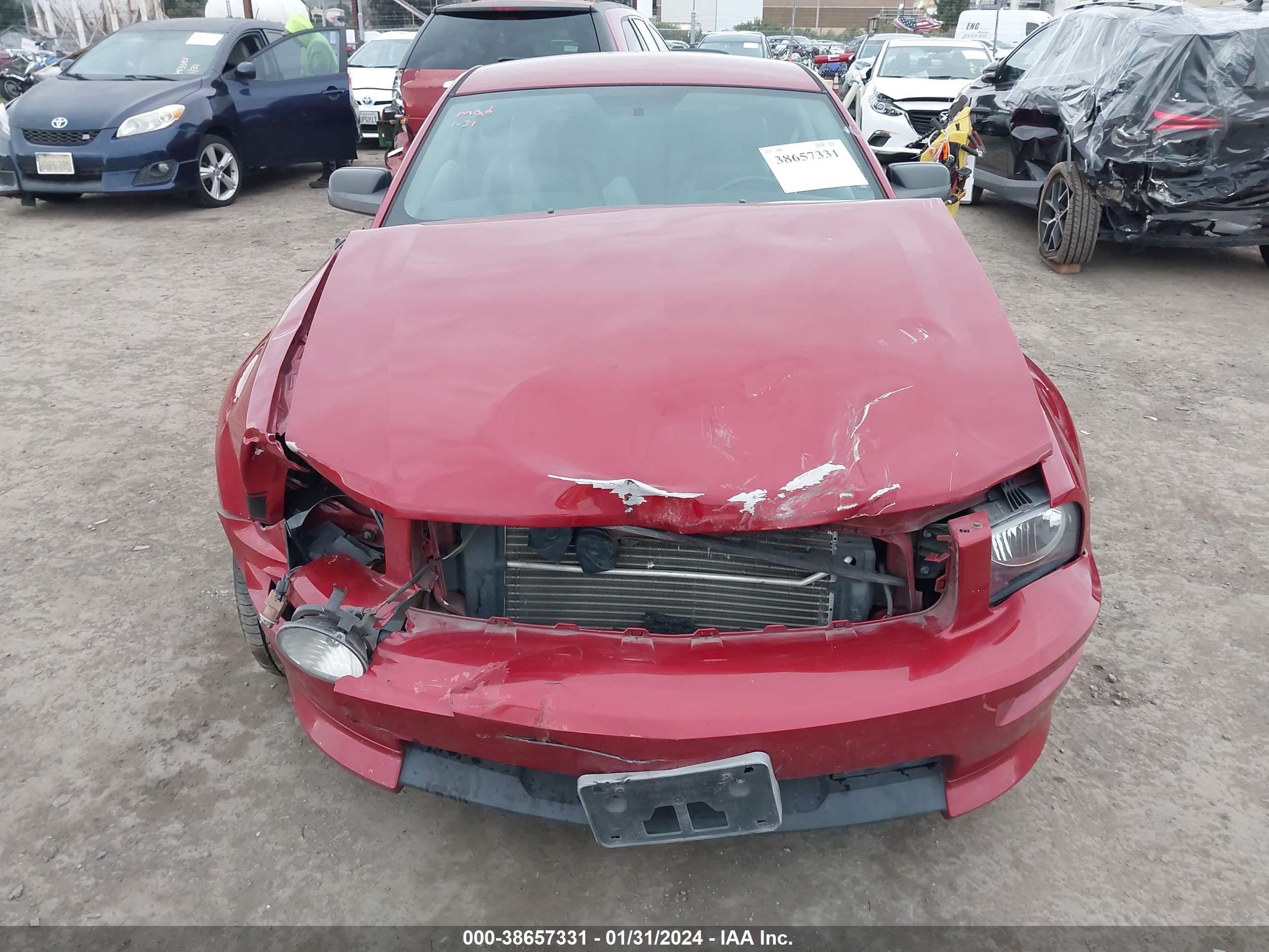 Photo 12 VIN: 1ZVHT82H485151544 - FORD MUSTANG 