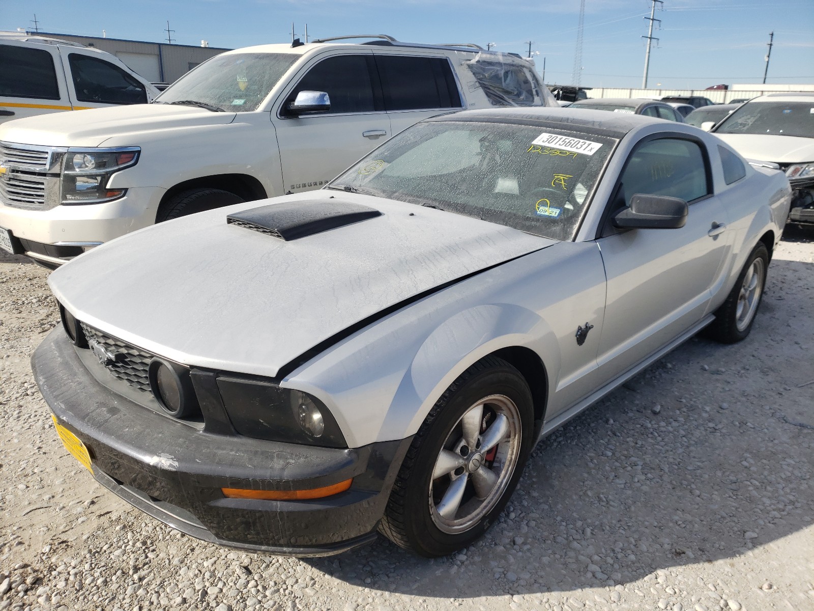 Photo 1 VIN: 1ZVHT82H495123809 - FORD MUSTANG GT 