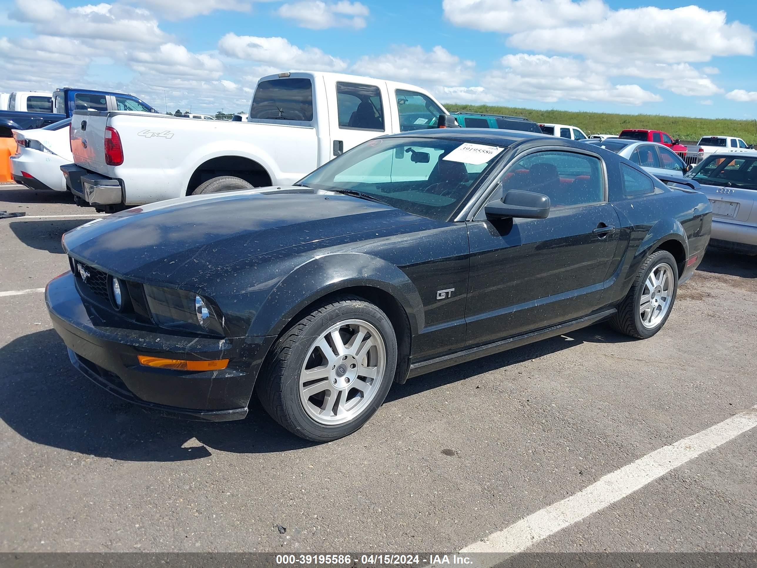 Photo 1 VIN: 1ZVHT82H555128480 - FORD MUSTANG 