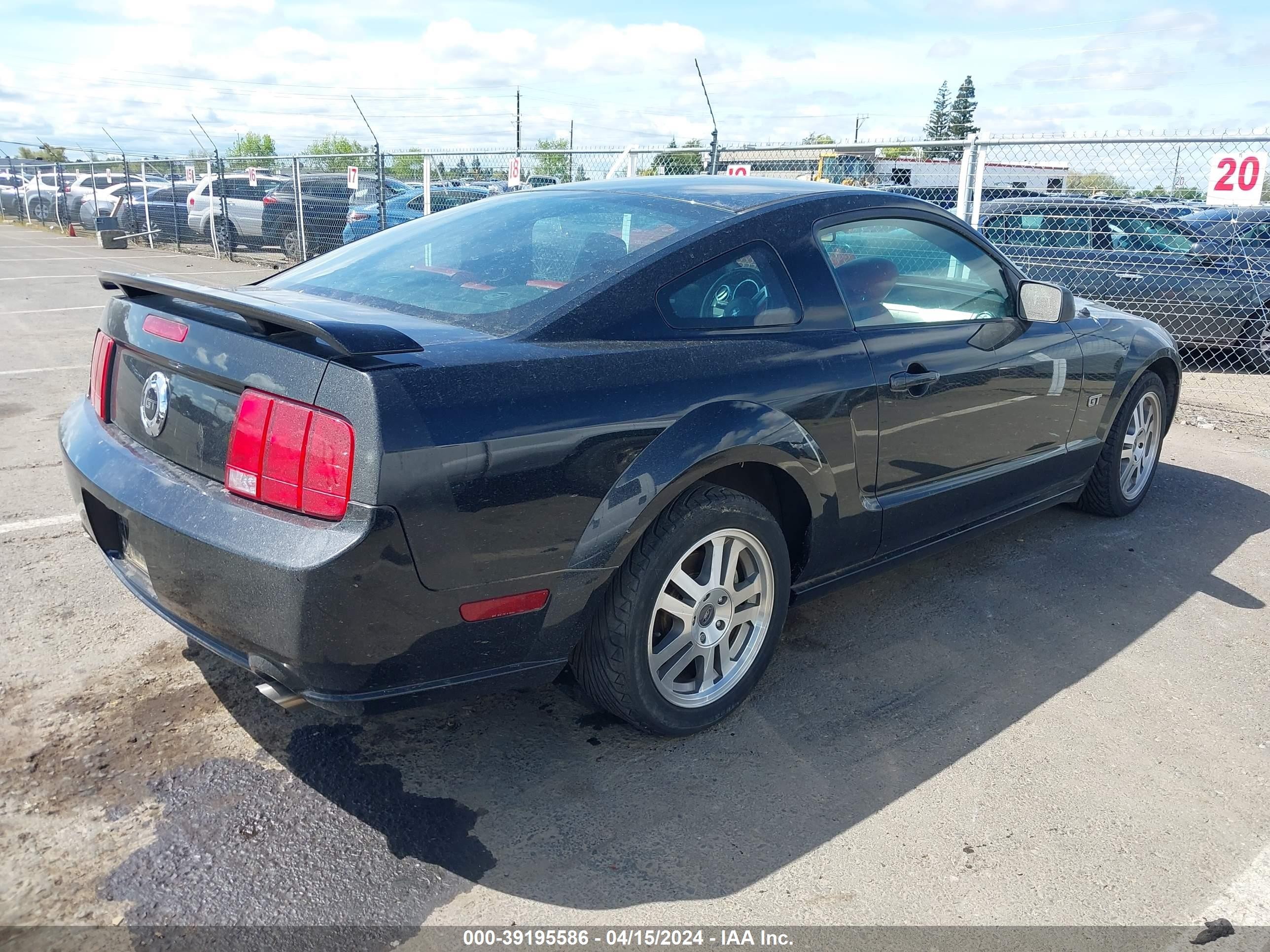 Photo 3 VIN: 1ZVHT82H555128480 - FORD MUSTANG 