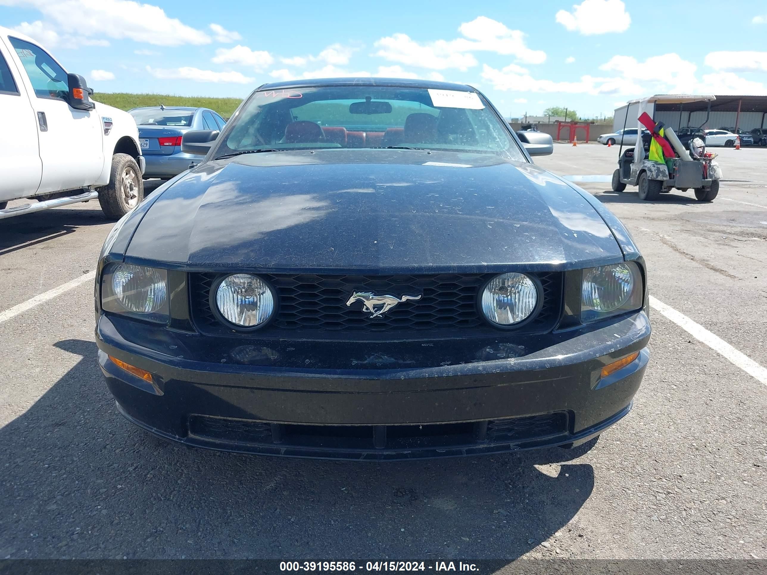 Photo 5 VIN: 1ZVHT82H555128480 - FORD MUSTANG 