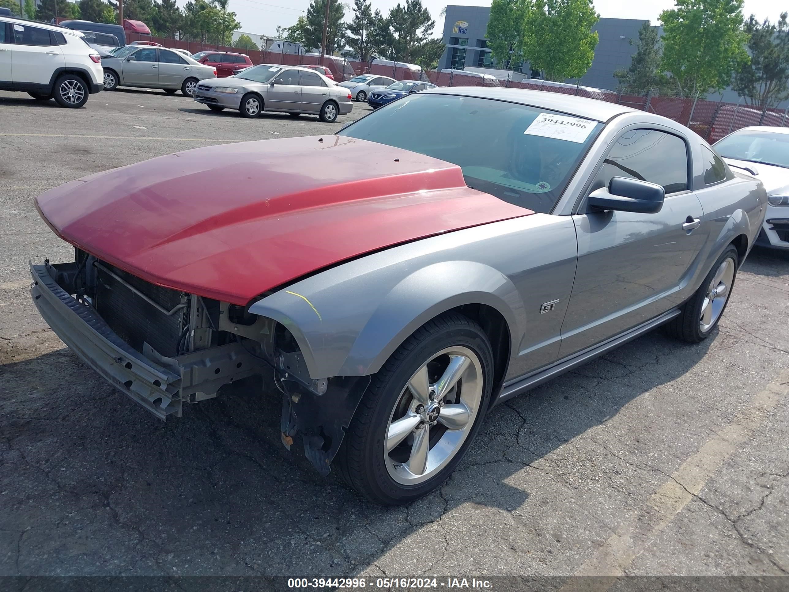 Photo 1 VIN: 1ZVHT82H565260348 - FORD MUSTANG 