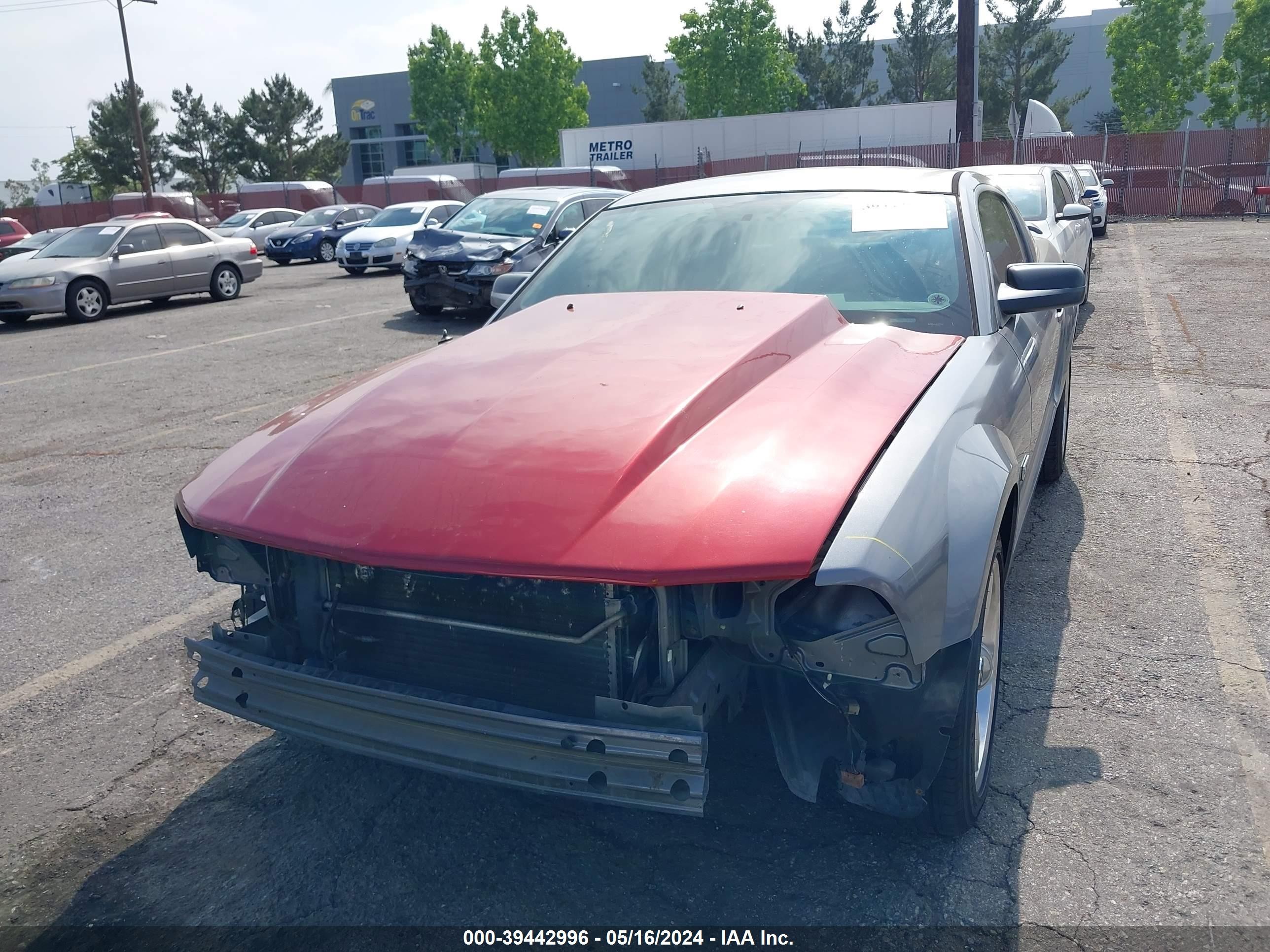 Photo 5 VIN: 1ZVHT82H565260348 - FORD MUSTANG 