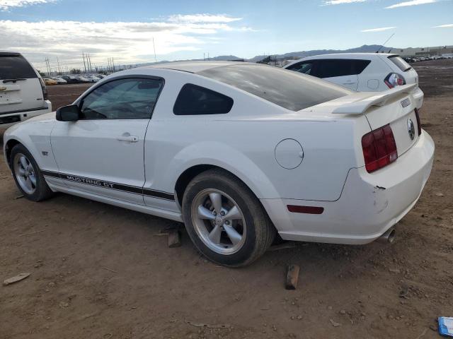 Photo 1 VIN: 1ZVHT82H585120447 - FORD MUSTANG 