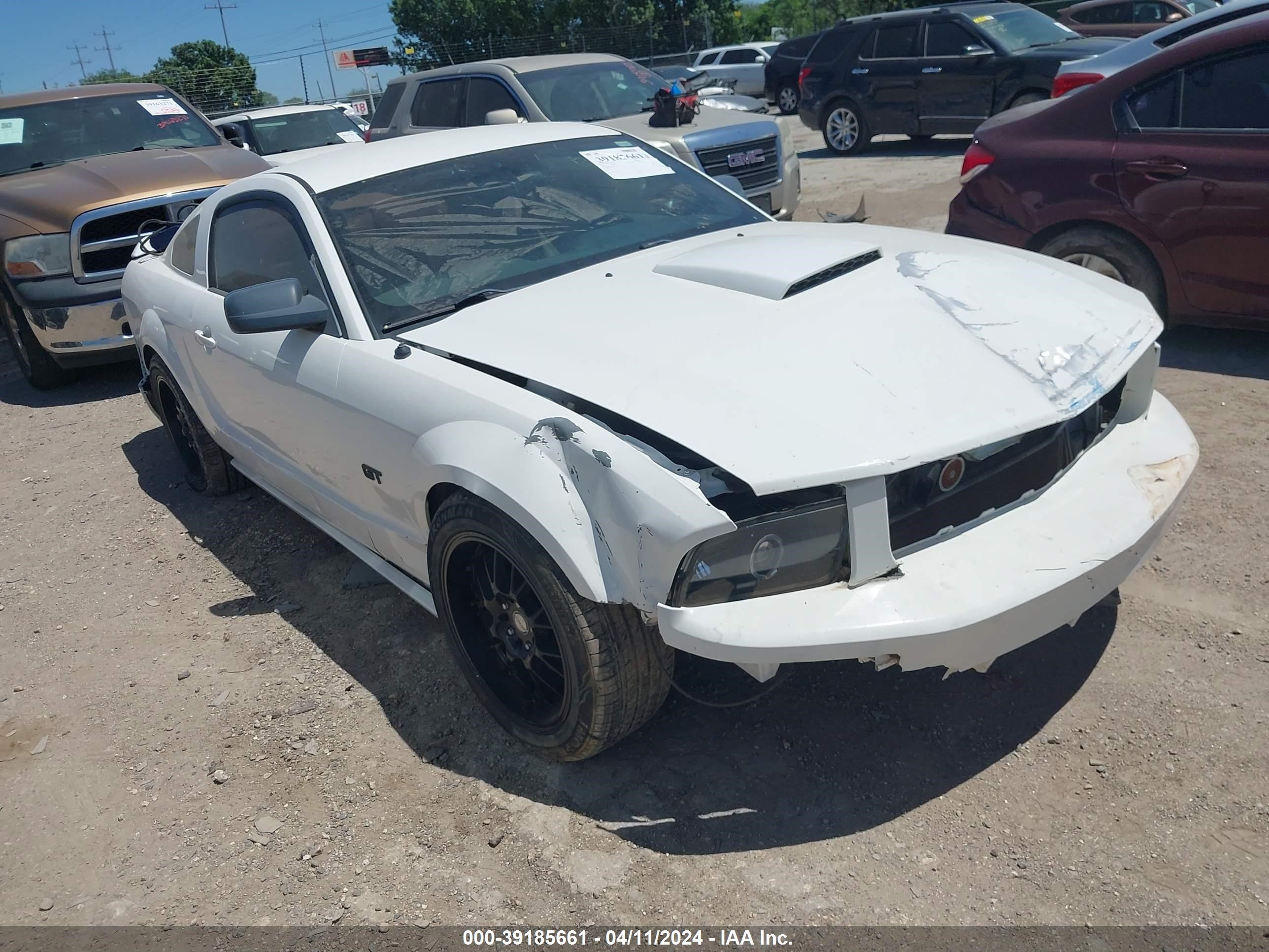 Photo 0 VIN: 1ZVHT82H585132176 - FORD MUSTANG 