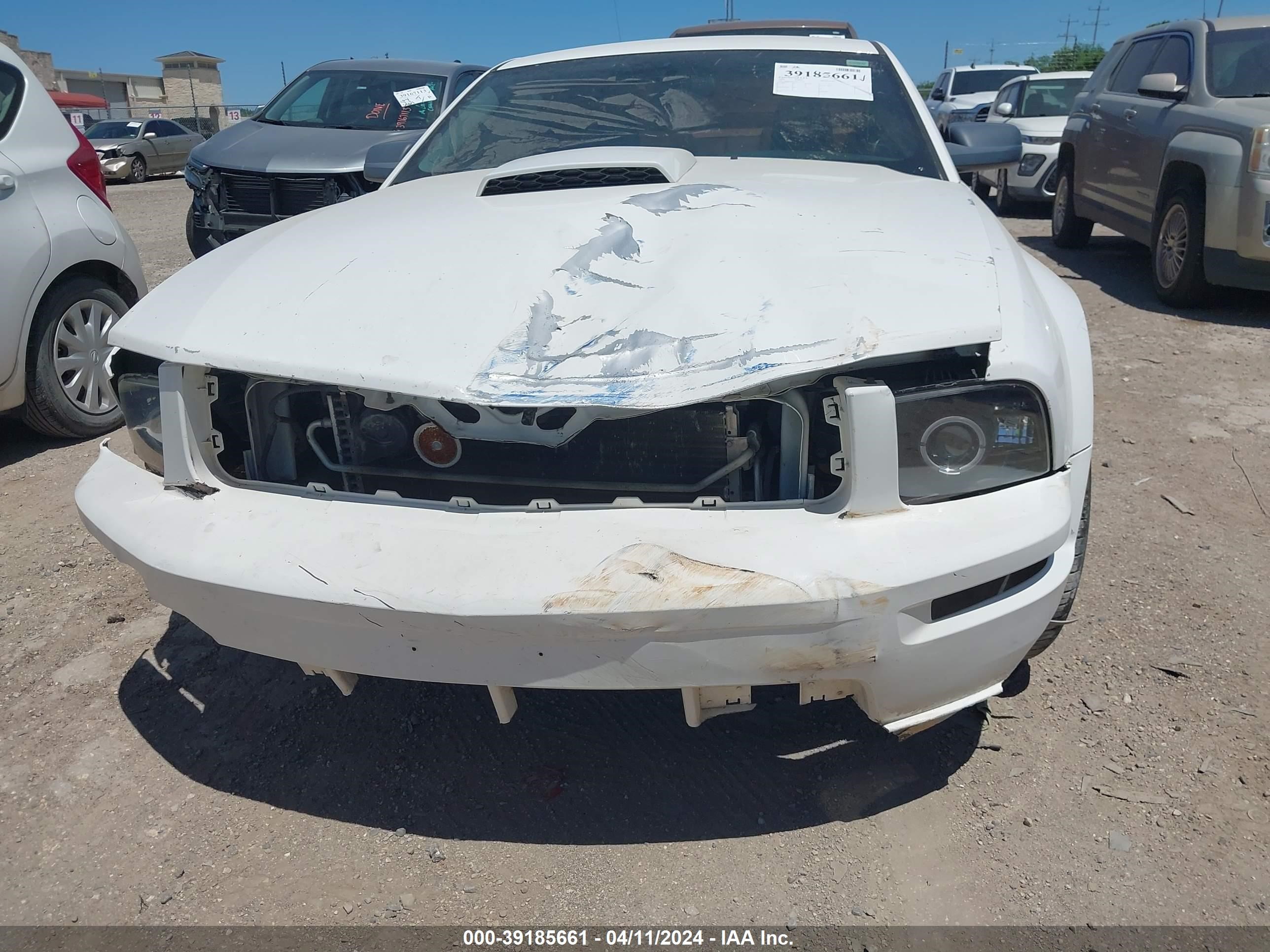 Photo 5 VIN: 1ZVHT82H585132176 - FORD MUSTANG 