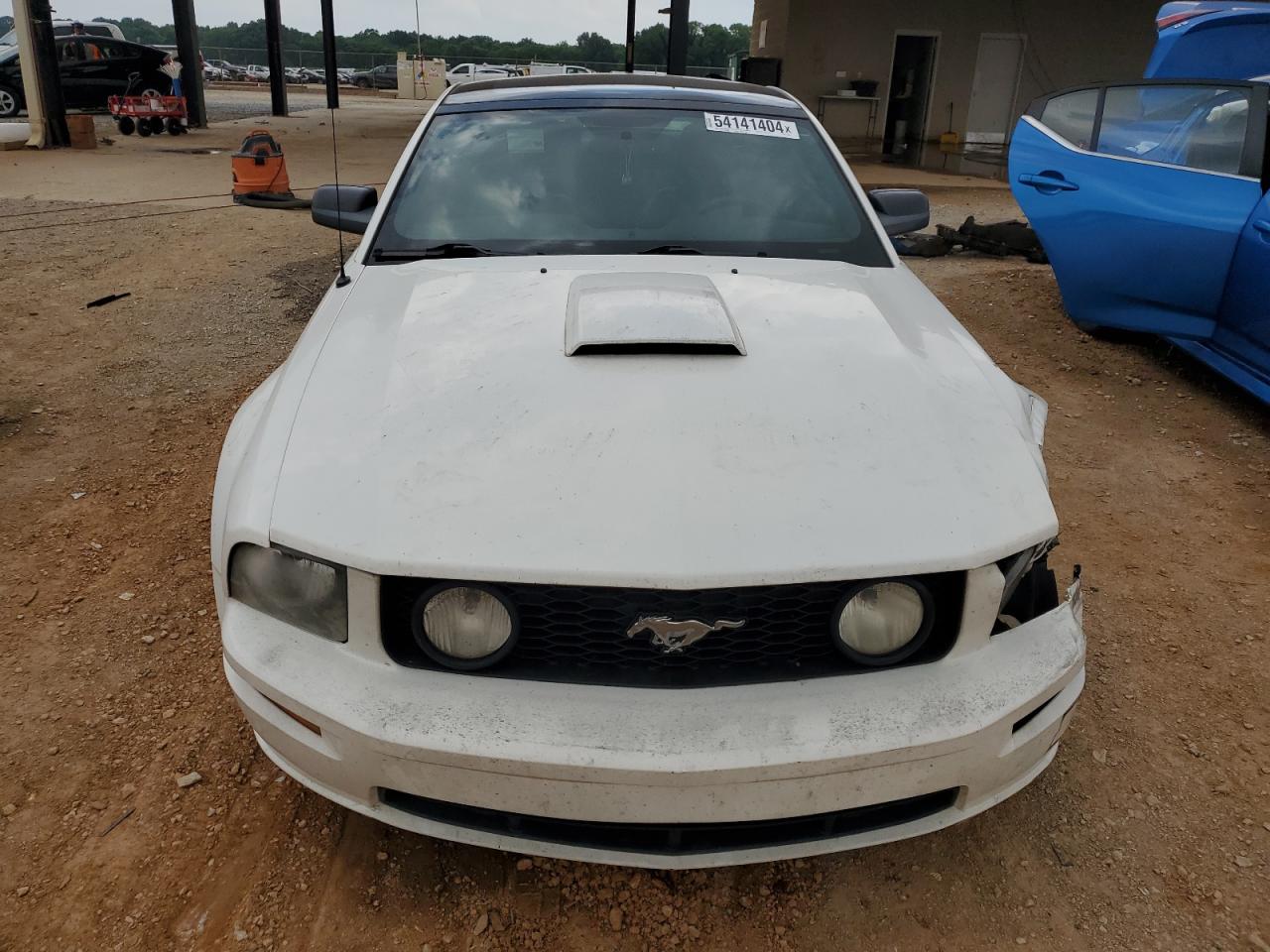 Photo 4 VIN: 1ZVHT82H595141154 - FORD MUSTANG 