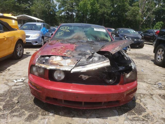 Photo 4 VIN: 1ZVHT82H695120491 - FORD MUSTANG 