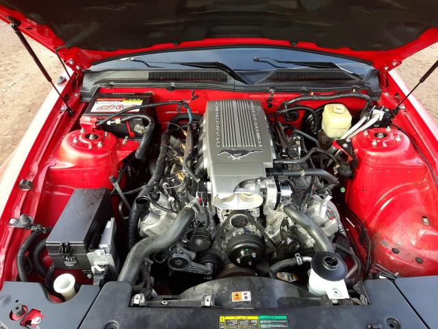 Photo 10 VIN: 1ZVHT82H765212222 - FORD MUSTANG GT 